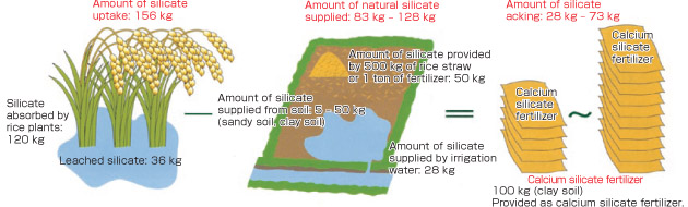 Required amounts of silicate